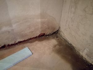 IMG_20171024_084315 (Large)